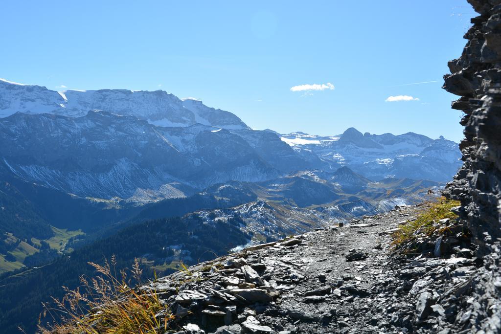 Hotel Hari Im Schlegeli Adelboden Dış mekan fotoğraf