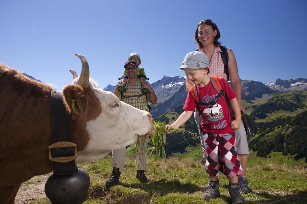 Hotel Hari Im Schlegeli Adelboden Dış mekan fotoğraf