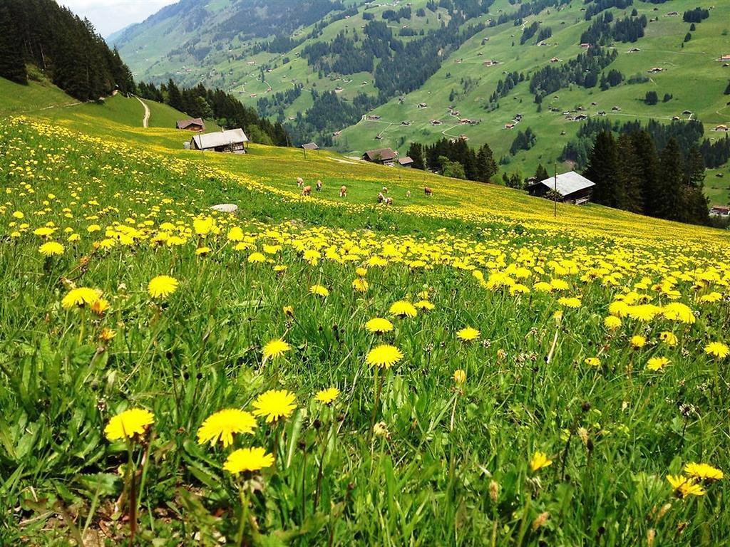 Hotel Hari Im Schlegeli Adelboden Dış mekan fotoğraf