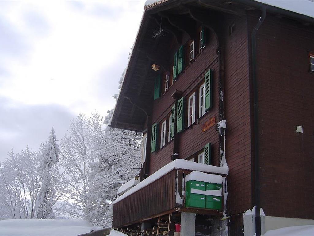 Hotel Hari Im Schlegeli Adelboden Dış mekan fotoğraf